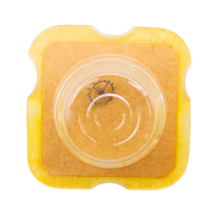 ETA 2510 - 704 Roue d'ancre pivotée pour contre-pivot dessus (à l'unité) - Escape wheel and pinion pivoted for upper end-piece (