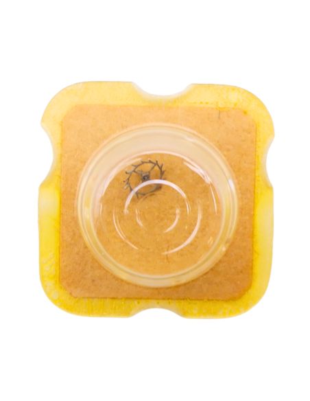 ETA 2510 - 704 Roue d'ancre pivotée pour contre-pivot dessus (à l'unité) - Escape wheel and pinion pivoted for upper end-piece (