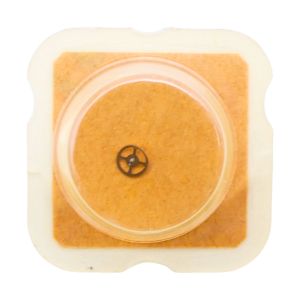 ETA 255.481 - 224 Roue de seconde long pivot - Fourth wheel and pinion with second hand bit