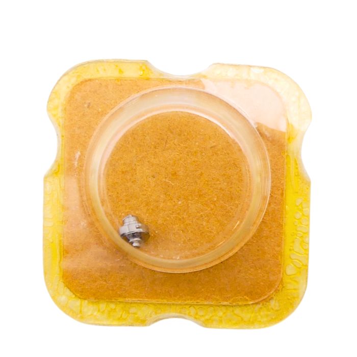 Eterna 1428 195 Arbre de Barillet - Barrel arbor