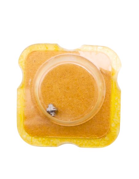 Eterna 1428 195 Arbre de Barillet - Barrel arbor