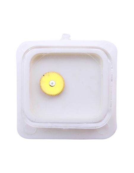 FE 11536 - 2557 Etoile et indicateur de quantième (31 dents) (à l'unité) - Date star and indicator (31 teeth) (per unit)