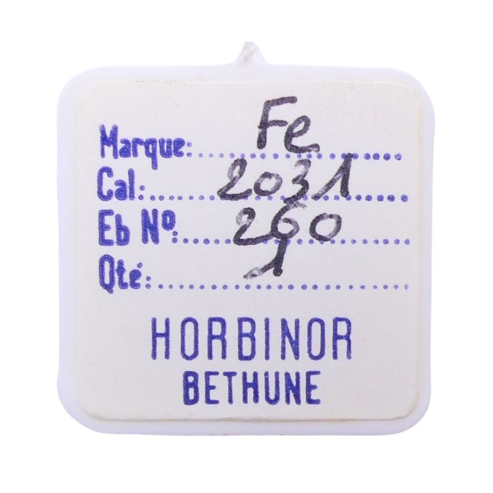 FE 2031 - 260 Roue de minuterie (à l'unité) - Minute wheel (per unit)