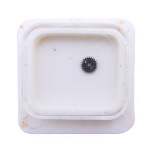 FE 4611 - 260 Roue de minuterie (à l'unité) - Minute wheel (per unit)