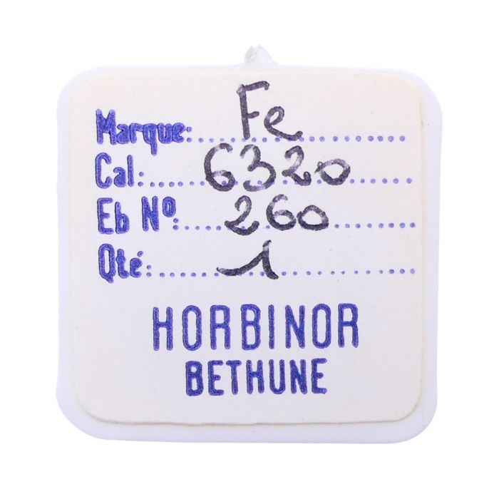 FE 6320 - 260 Roue de minuterie (à l'unité) - Minute wheel (per unit)