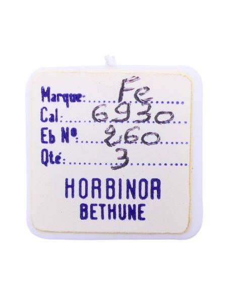 FE 6930 - 260 Roue de minuterie (à l'unité) - Minute wheel (per unit)