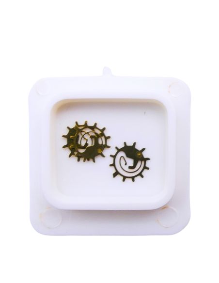 FE 8022 - 2556 Roue entraineuse de l'étoile et de l'indicateur de quantième (à l'unité) - Date star and indicator driving wheel 