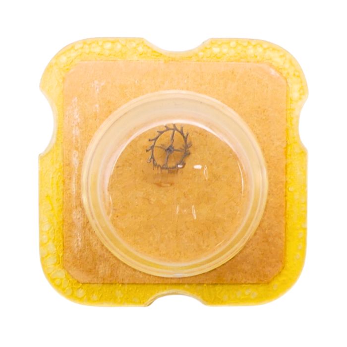 Felsa 4120 - 704 Roue d'ancre pivotée pour contre-pivot dessus (à l'unité) - Escape wheel and pinion pivoted for upper end-piece