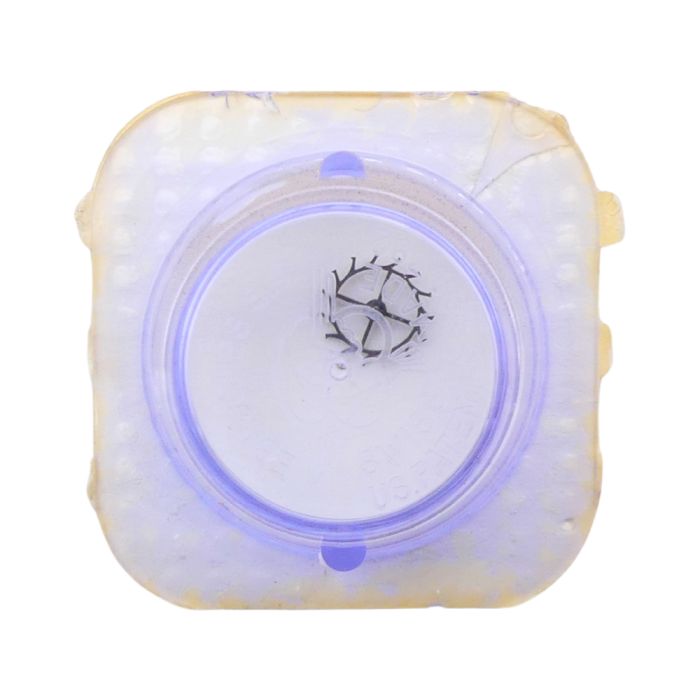 AS 1525 - 704 Roue d'ancre pivotée pour contre-pivot dessus (à l'unité) - Escape wheel and pinion pivoted for upper end-piece (p