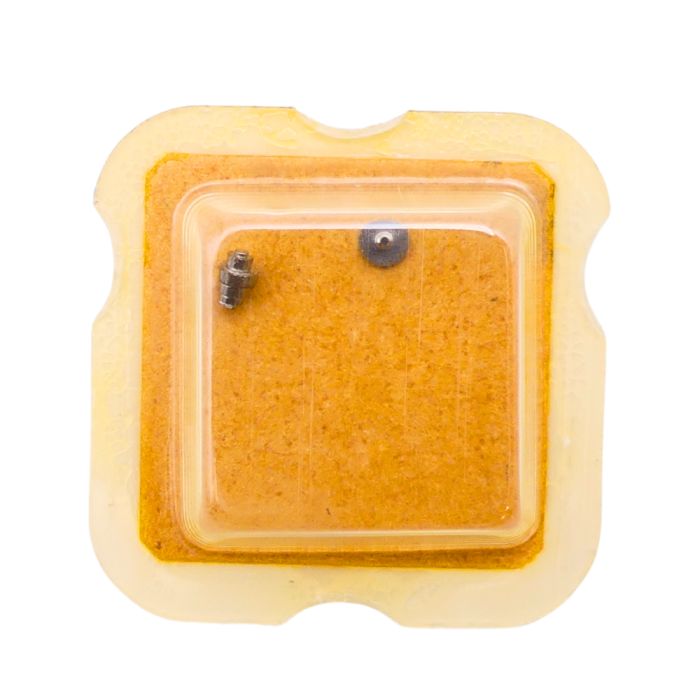 FHF 35 195 Arbre de Barillet - Barrel arbor