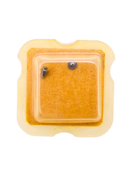 FHF 35 195 Arbre de Barillet - Barrel arbor