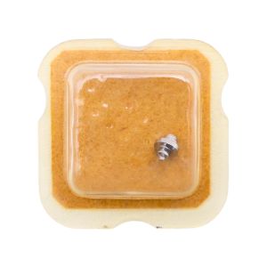 FHF 74 195 Arbre de Barillet - Barrel arbor