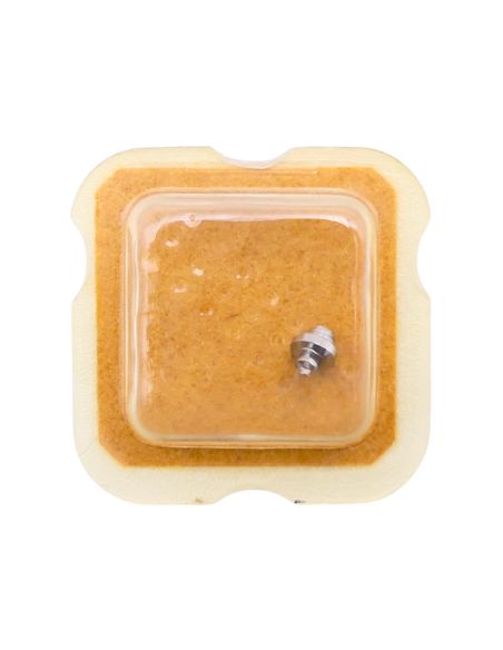 FHF 74 195 Arbre de Barillet - Barrel arbor