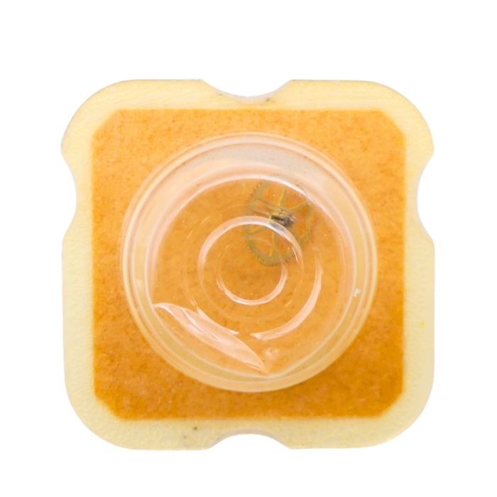 FHF 76 - 224 Roue de seconde long pivot - Fourth wheel and pinion with second hand bit