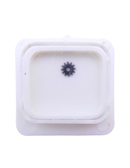 HP 60C - 410 Pignon de remontoir (à l'unité) - Winding pinion (per unit)