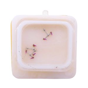 HS 8F - 710 Ancre montée (à l'unité) - Jewelled pallet fork and staff (per unit)