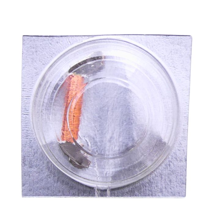 Pulsar Y142B - 4060 Bobine (à l'unité) - Coil (per unit)