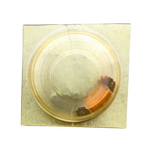 Pulsar V591A - 4060 Bobine (à l'unité) - Coil (per unit)