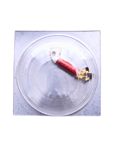 Pulsar V329A - 4060 Bobine (à l'unité) - Coil (per unit)