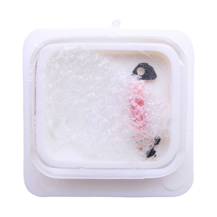 Pulsar V301A - 4060 Bobine (à l'unité) - Coil (per unit)