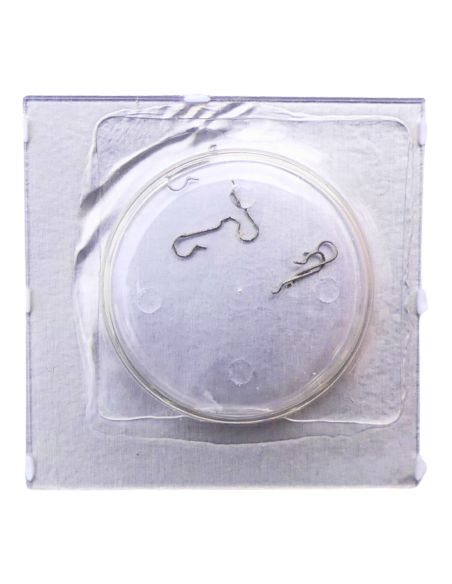 Omega 625 - 1112 Ressort de bascule (à l'unité) - Stud (per unit)