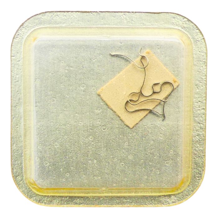 Omega 563 - 1112 Ressort de bascule (à l'unité) - Stud (per unit)