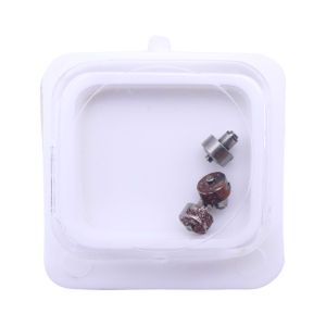 JEJ PS31A 195 Arbre de Barillet - Barrel arbor