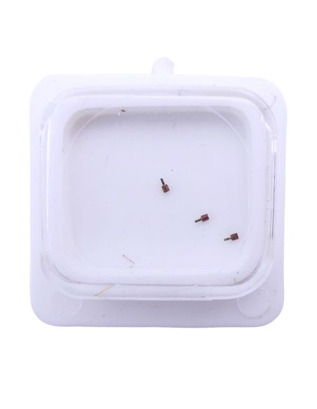 FE 68A - 172 Tenon (à l'unité) - Stud (per unit)