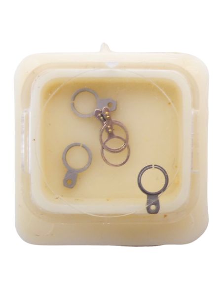 JEJ PS31 - 307 Raquette avec porte-piton mobile pour spiral plat (à l'unité) - Regulator with adjustable stud holder for flat ha