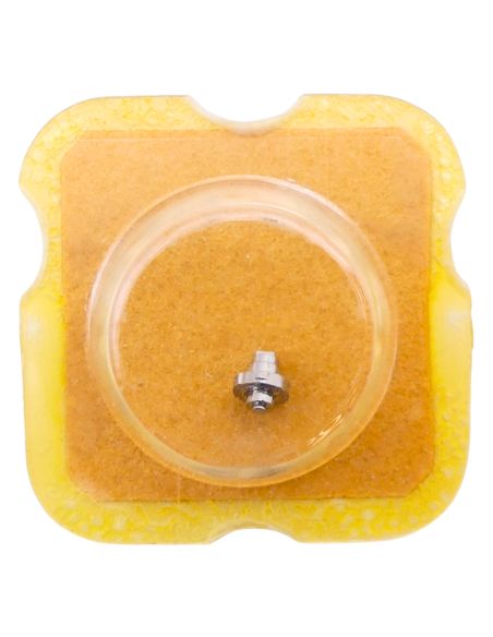 FEF 290 42 Arbre de Barillet - Barrel arbor