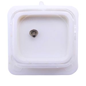 FHF 65 195 Arbre de Barillet - Barrel arbor