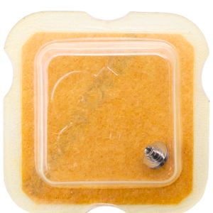 FHF 73 195 Arbre de Barillet - Barrel arbor