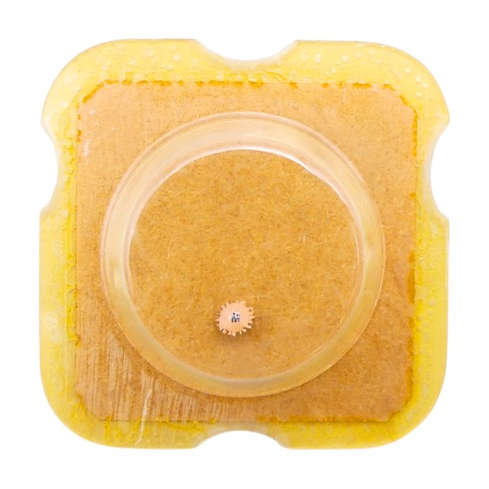 AS 1782 - 1480 Roue d'armage (à l'unité) - Winding-up wheel (per unit)