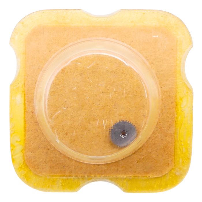 AS 1782 42 Mobile entraineur - Driving Gear