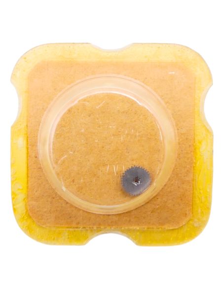 AS 1782 1482 Mobile entraineur - Driving Gear