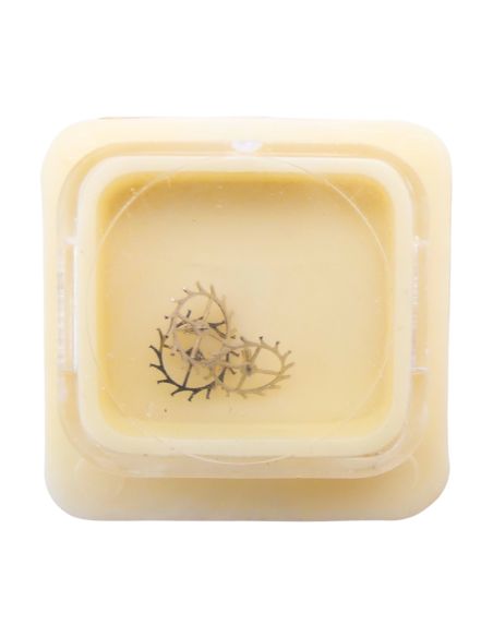 MHS 238 - 705 Roue d'ancre pivotée (à l'unité) - Escape wheel and pinion with straight pivots (per unit)