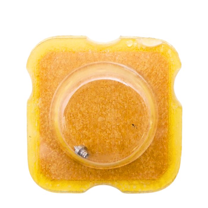 Eterna 1466U 195 Arbre de Barillet - Barrel arbor