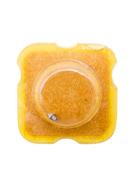 Eterna 1466U 195 Arbre de Barillet - Barrel arbor