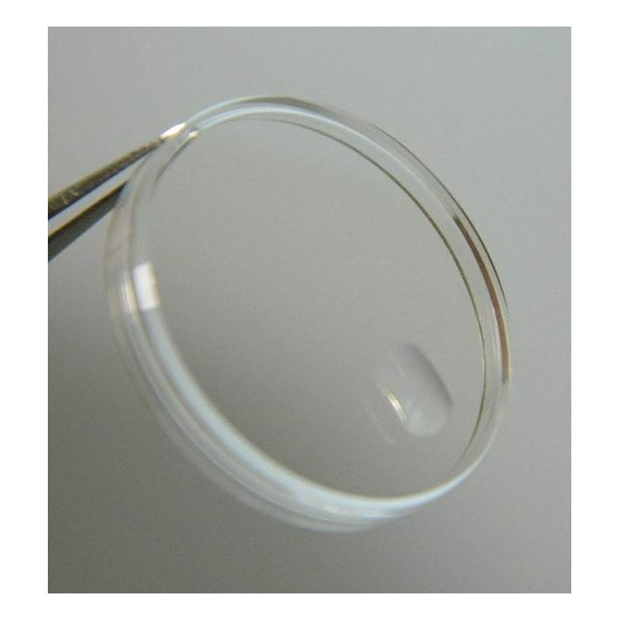 Tudor Submariner 9091 Verre 25-134