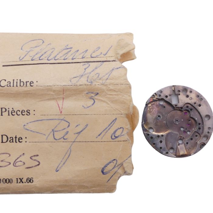 Movado 365 - 100 Platine - Plate