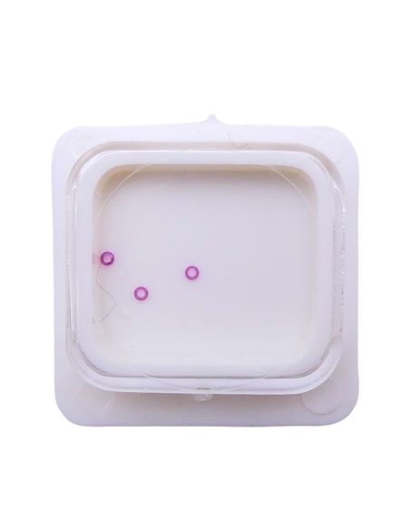 FE 140 - 601 Pierre de roue de centre dessous (à l'unité) - Jewel for center wheel lower (per unit)