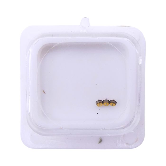 FE 5020 - 4211 Rotor (à l'unité) - Rotor (per unit)