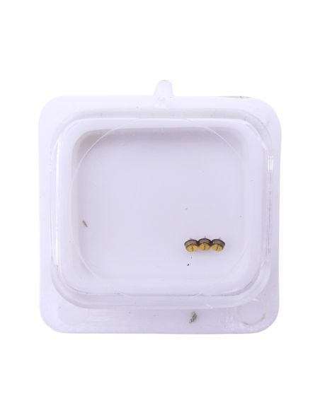 FE 5020 - 4211 Rotor (à l'unité) - Rotor (per unit)