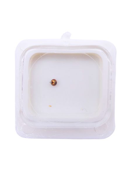 FE 6220 - 4211 Rotor (à l'unité) - Rotor (per unit)