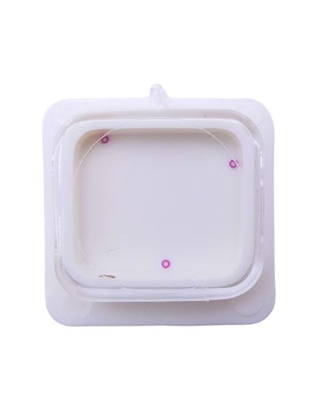 FE 68 - 601 Pierre de roue de centre dessous (à l'unité) - Jewel for center wheel lower (per unit)