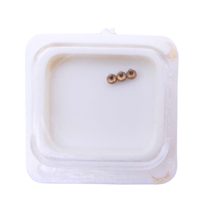 FE 6820 - 4211 Rotor (à l'unité) - Rotor (per unit)