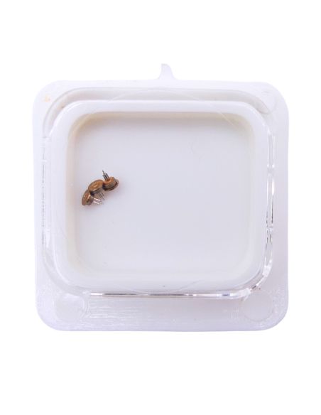 FE 6920 - 4211 Rotor (à l'unité) - Rotor (per unit)