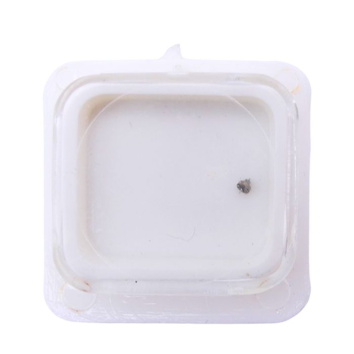 FE 7021 - 4211 Rotor (à l'unité) - Rotor (per unit)