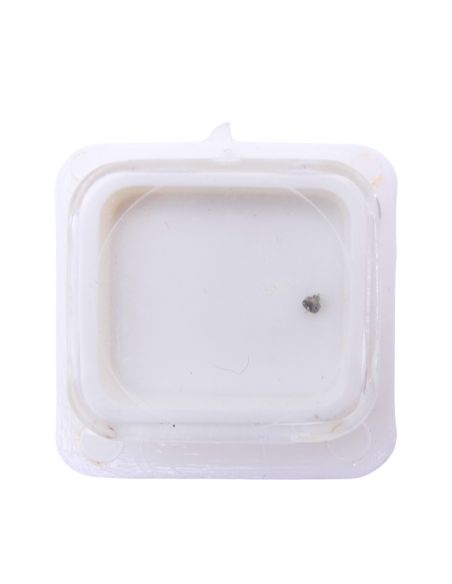 FE 7021 - 4211 Rotor (à l'unité) - Rotor (per unit)