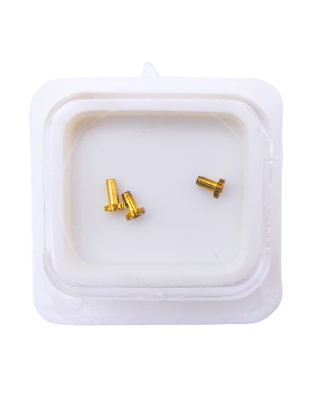 HP 1640 - 243 Chaussée non lanternée - Cannon pinion without clam notch